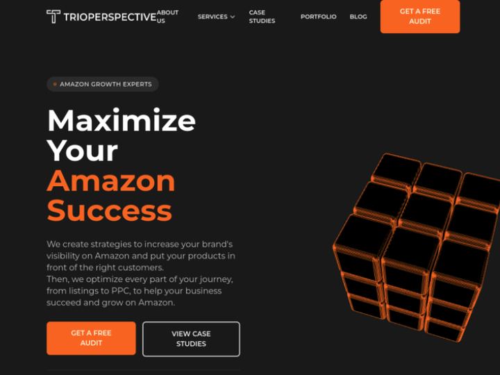 TrioPerspective website homepage